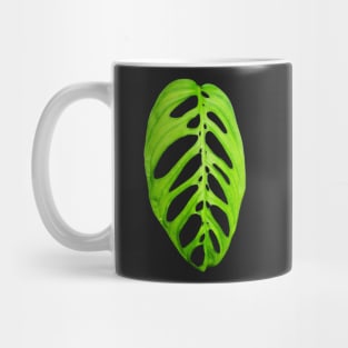 Unique and organic photo of a Monstera esqueleto 2 Mug